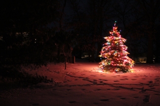 white Christmas, Iowa christmas, snow, Christmas lights in the snow
