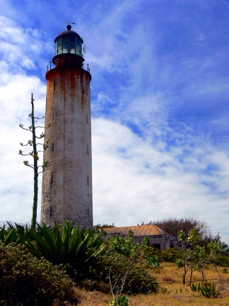 Carribean, yucca, lesser Antillies, tropical, Barbados ragged coast lighthouse